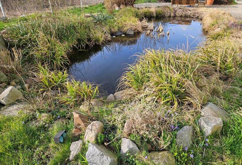 Magnet Boardinghouse