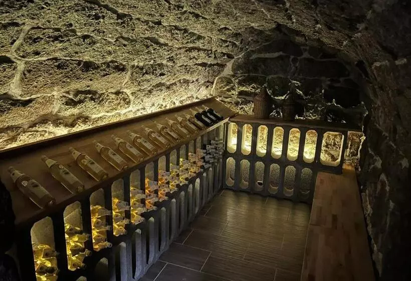 ペンション Apartmány Horský Dvůr