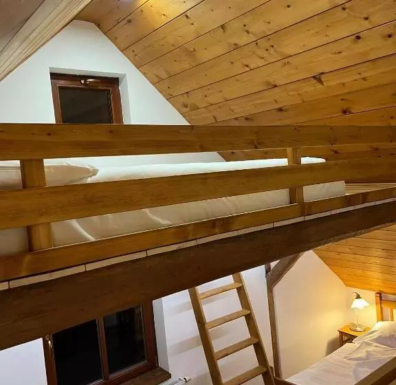 ペンション Apartmány Horský Dvůr