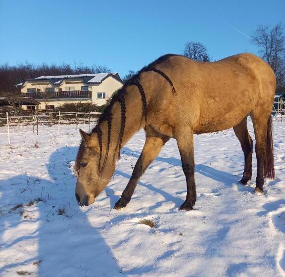 פנסיון Haus Nirgendwo