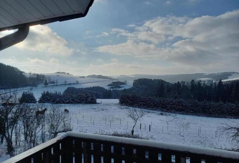 פנסיון Haus Nirgendwo