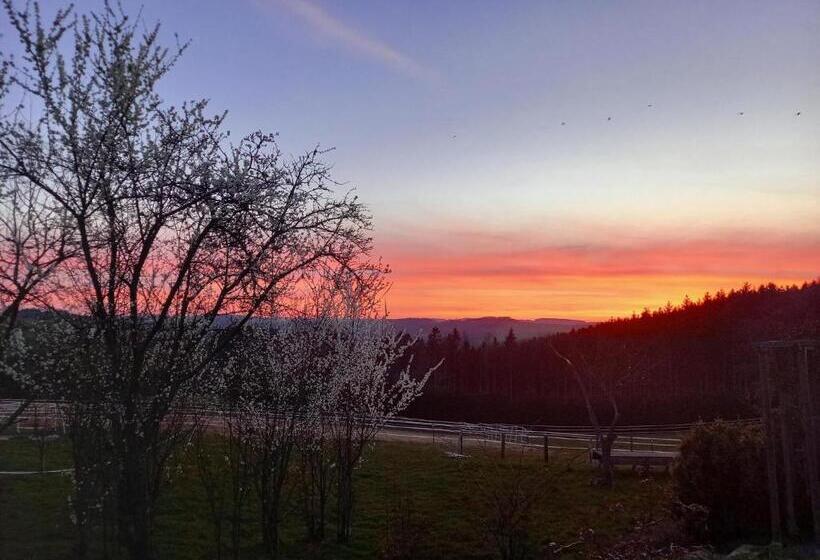 פנסיון Haus Nirgendwo