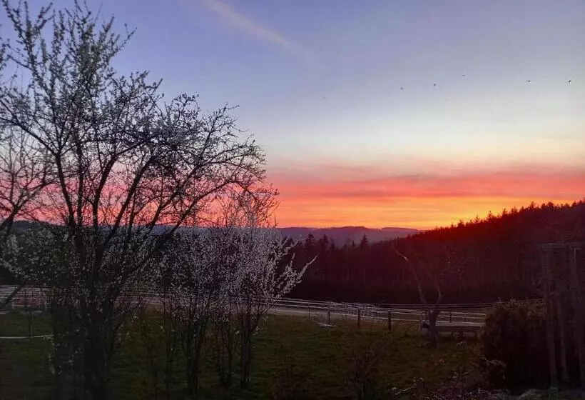 Majatalo Haus Nirgendwo