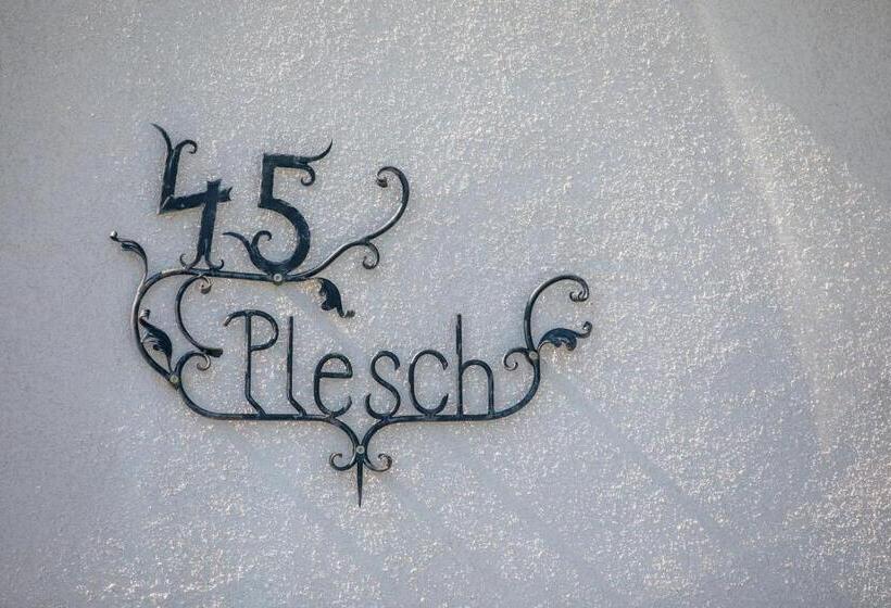 פנסיון Winzerzimmer Scharl