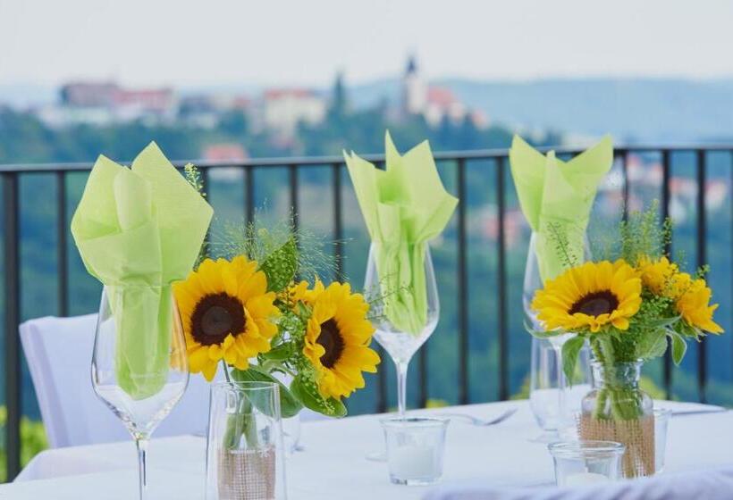 פנסיון Winzerzimmer Scharl