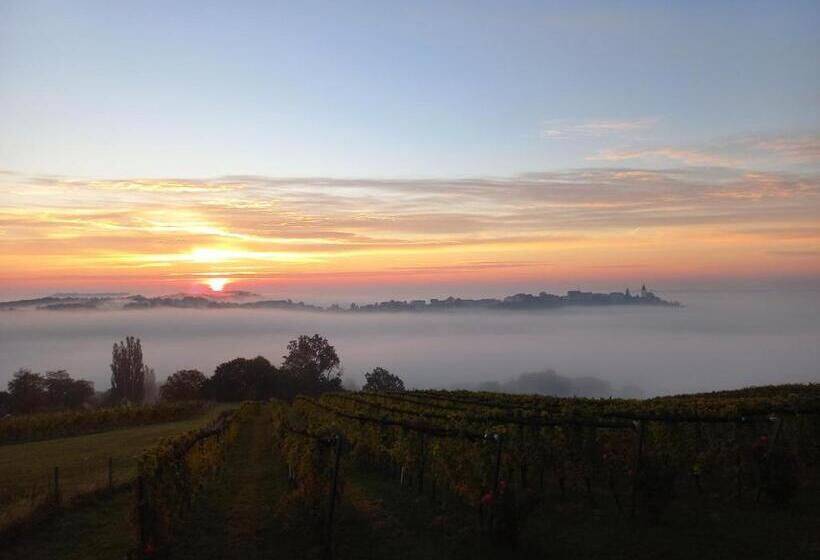 פנסיון Winzerzimmer Scharl