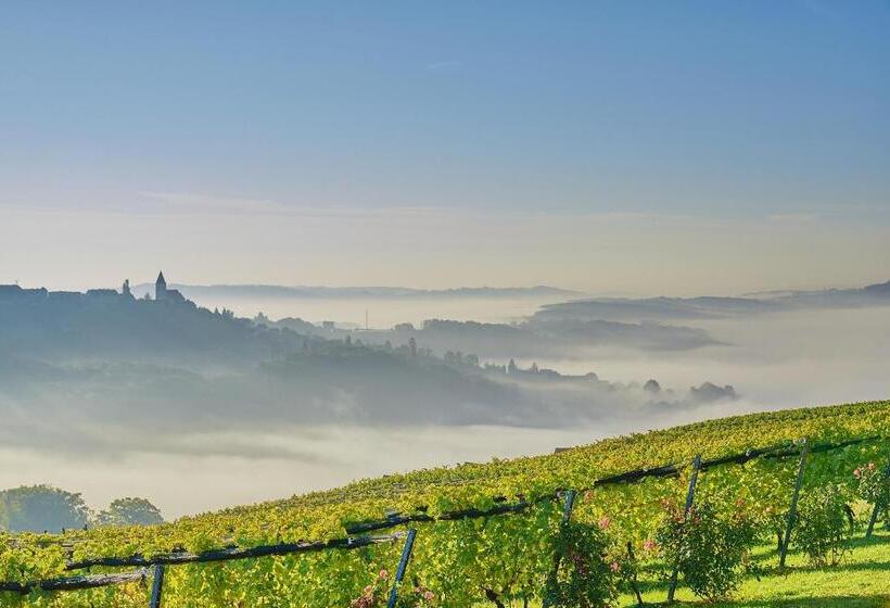 פנסיון Winzerzimmer Scharl