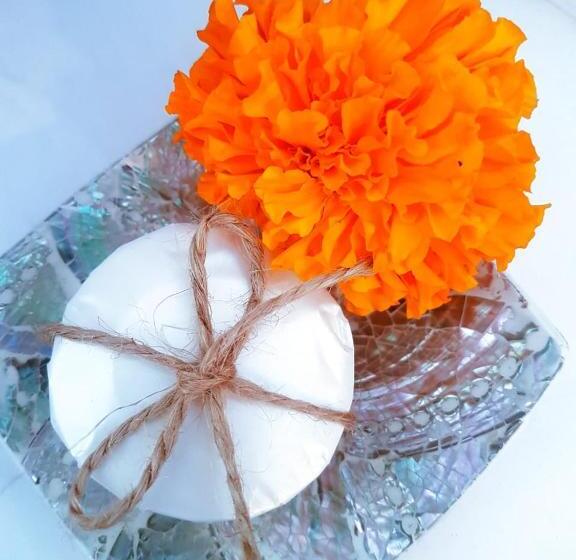 Phoenix Bed And Breakfast 3