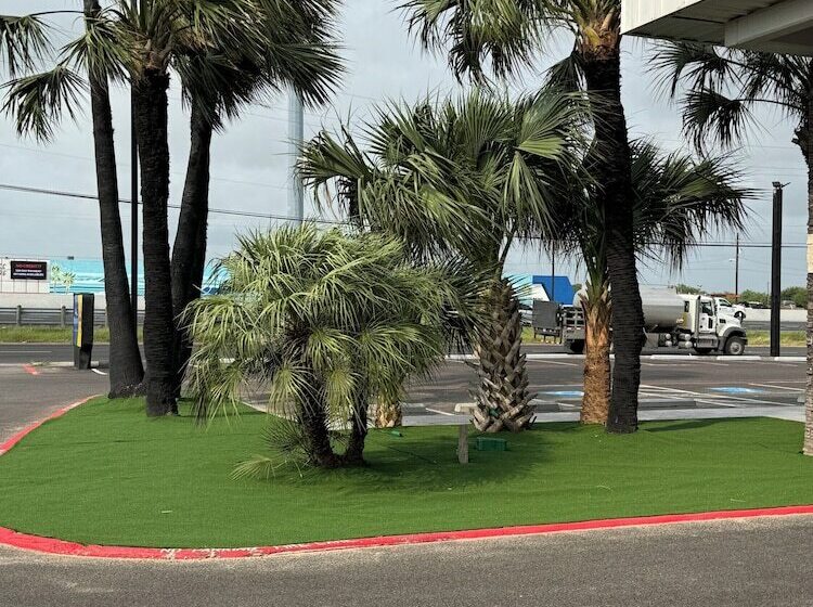 فندق صغير Baymont By Wyndham Corpus Christi Airport