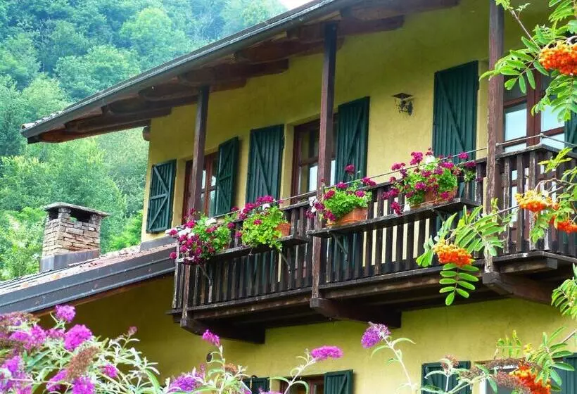 B&b Notte Stellata