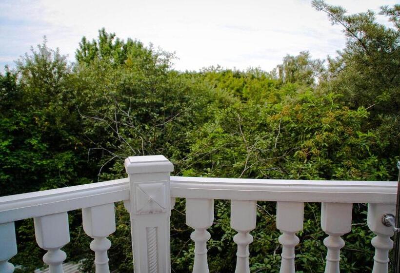 Aamiaismajoitus (B&B) Shelter