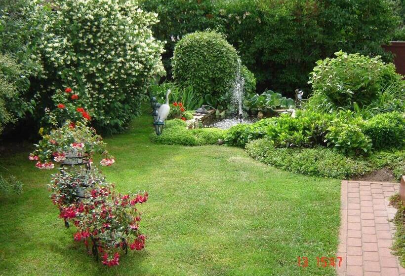 پانسیون Viesu Nams Mežu 13