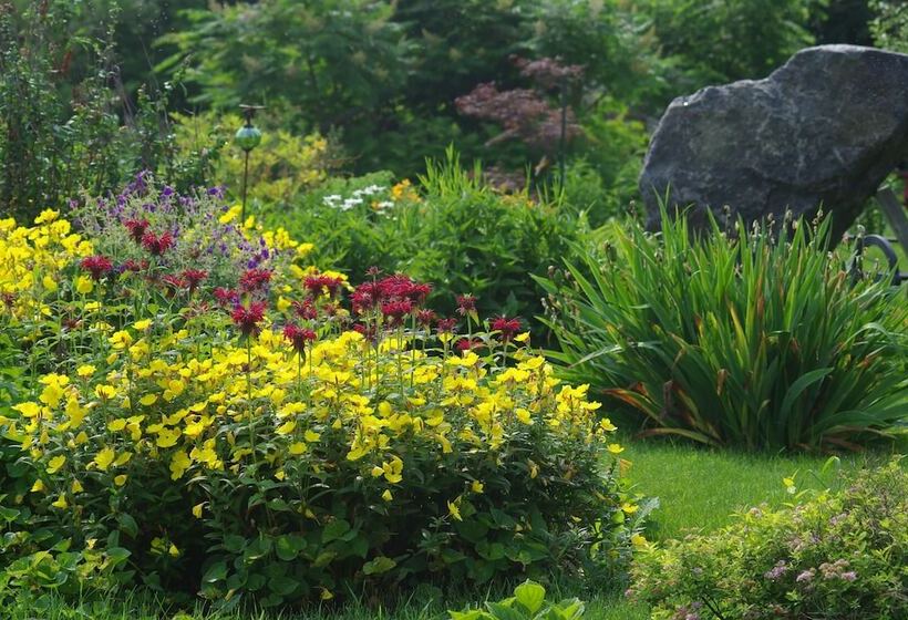 مبيت وإفطار Atelier Galerie Anne Drouin Peinture & Pension