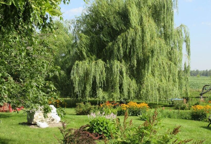 مبيت وإفطار Atelier Galerie Anne Drouin Peinture & Pension