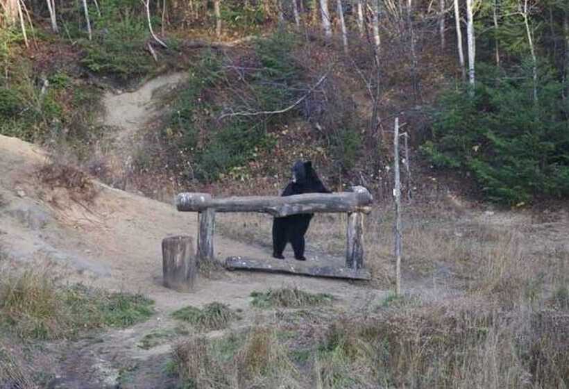مبيت وإفطار Gite Au Vieux Pommier