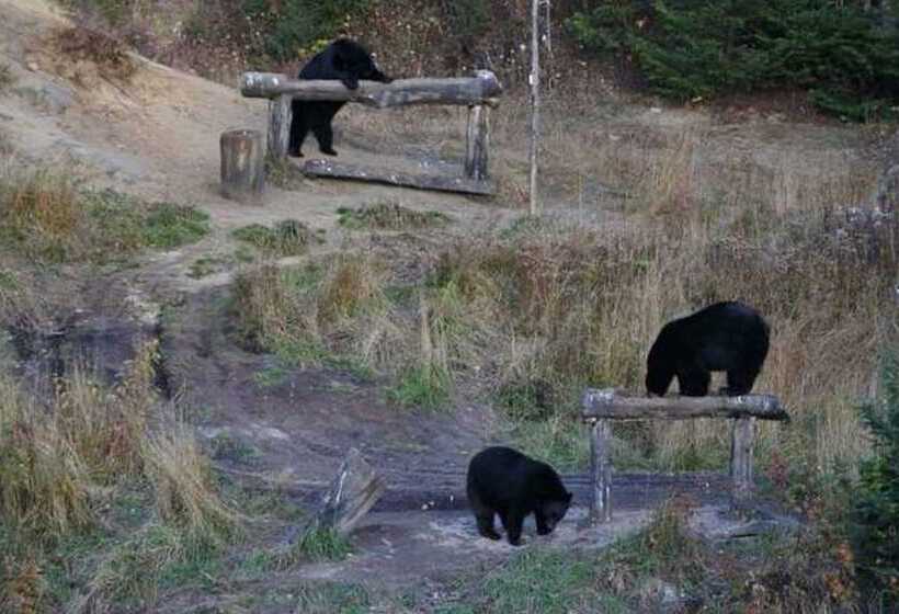 مبيت وإفطار Gite Au Vieux Pommier