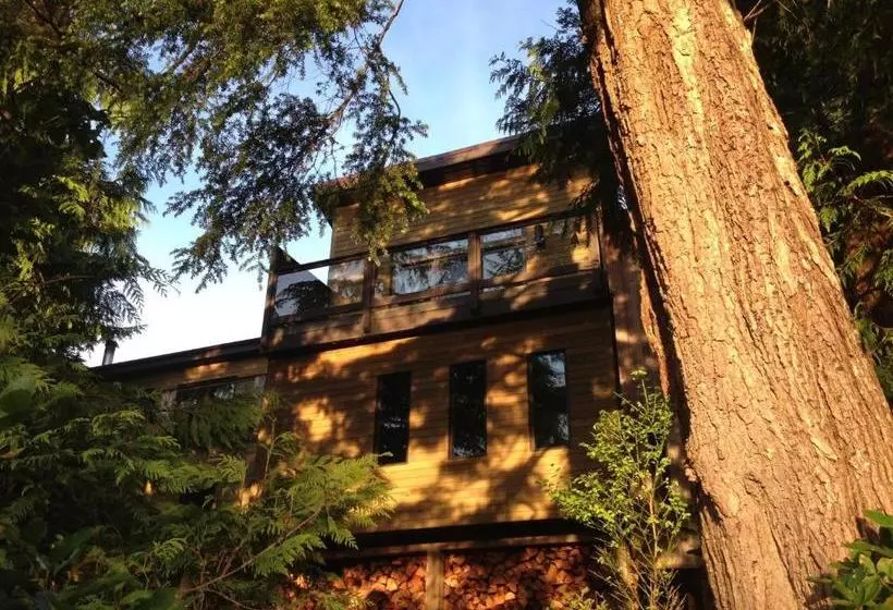 تختخواب و صبحانه Hyphocus Inn