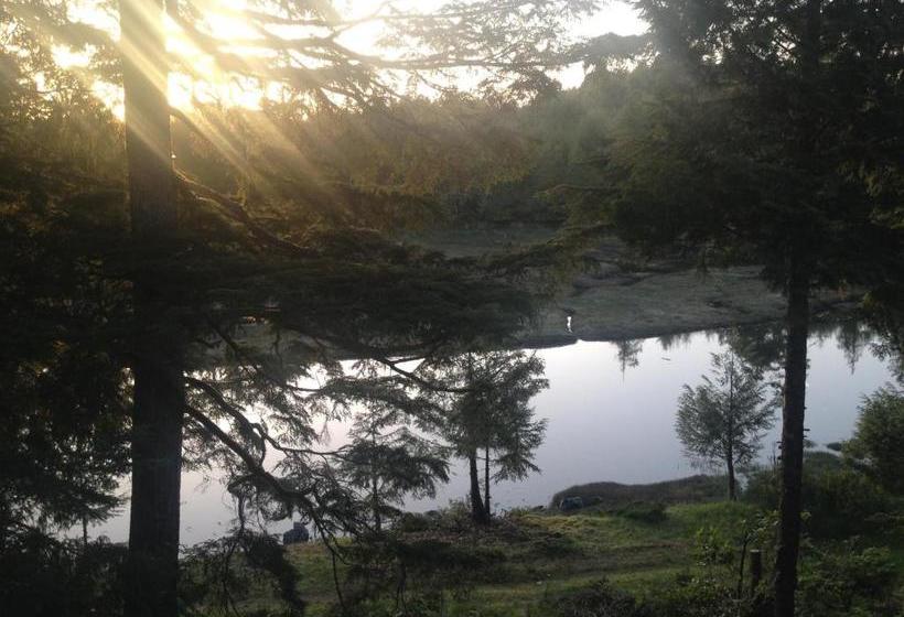 مبيت وإفطار Hyphocus Inn