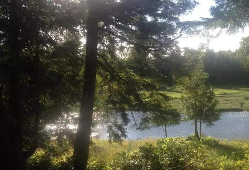 تختخواب و صبحانه Hyphocus Inn