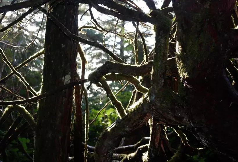 تختخواب و صبحانه Hyphocus Inn