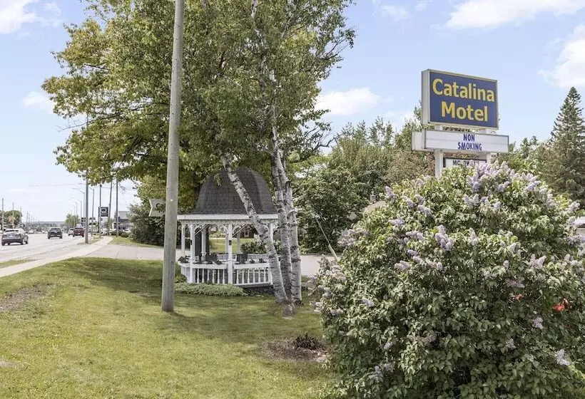 Catalina Motel