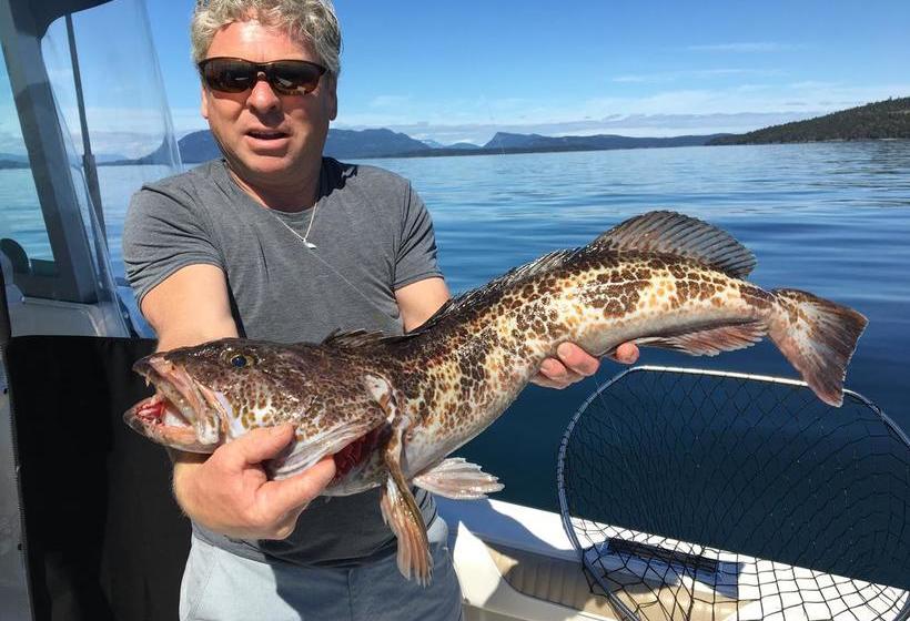 مبيت وإفطار Corbett Guest Suites