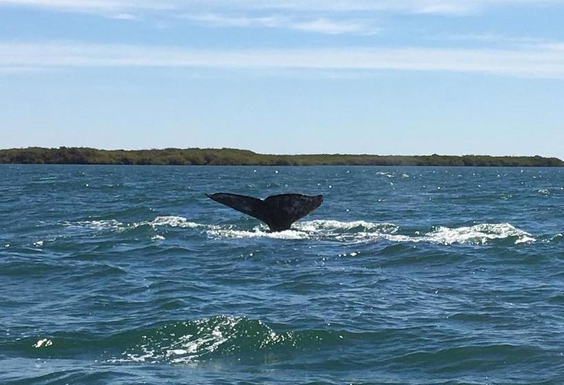 مبيت وإفطار Corbett Guest Suites