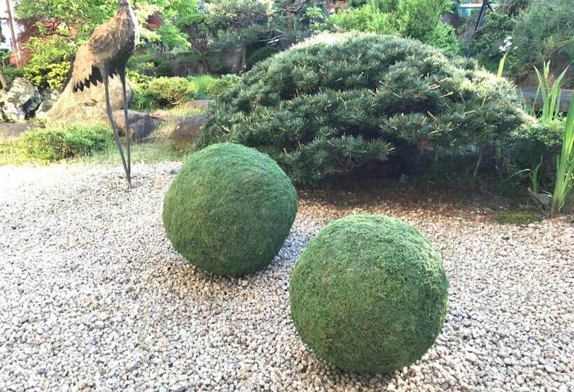 Ryokan Hohoemino Kuyufu Tsuruya