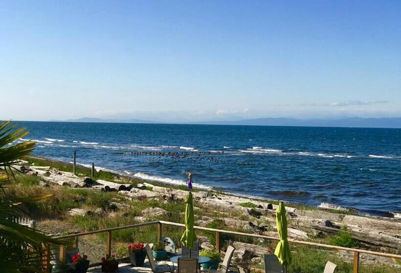 هتل Buena Vista By The Sea