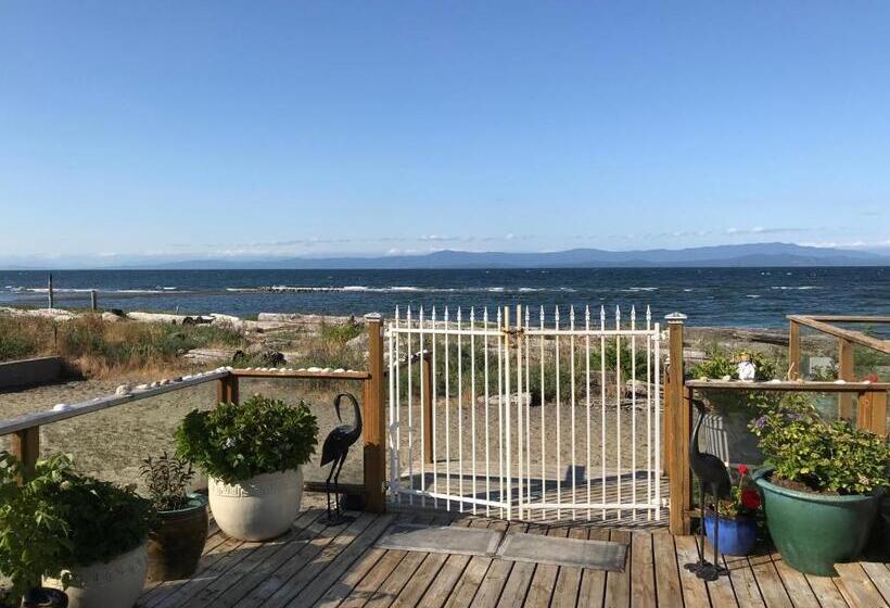 هتل Buena Vista By The Sea