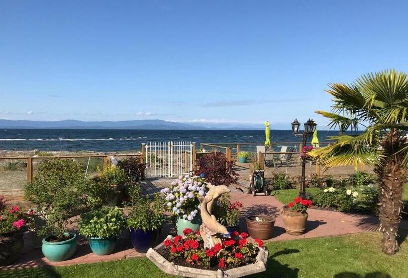 هتل Buena Vista By The Sea