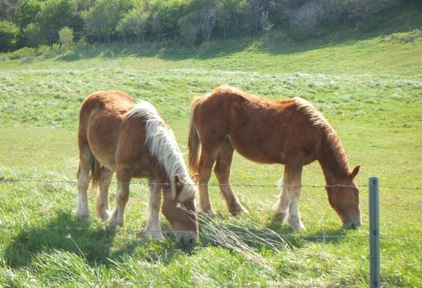 فندق Folkloro Ominato