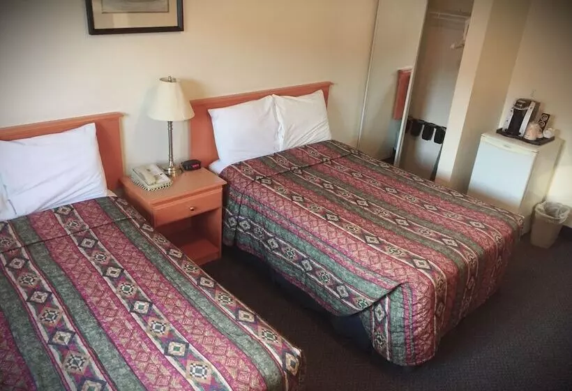 مُتل Ace Inn