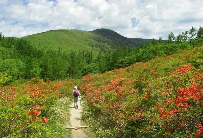 ريوكان Hamabeno Ryouriyado Houraikan