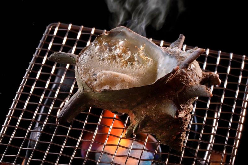 ריוקאן Ryokusuitei