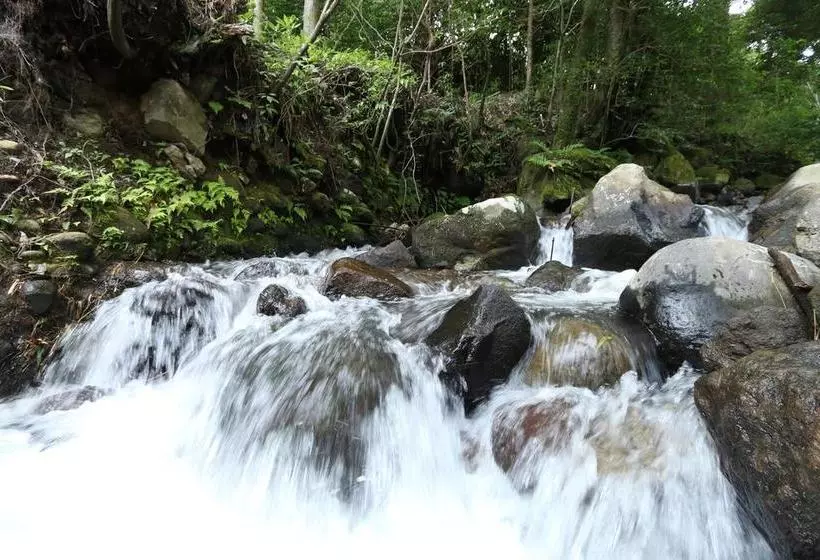 旅館 Tozanguchi Onsen