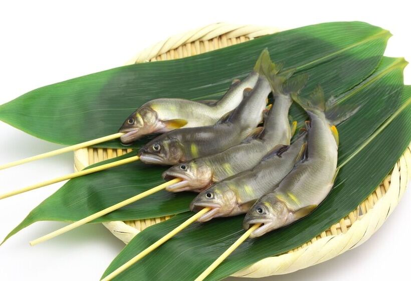 ريوكان Yama No Yado Shimofujiya