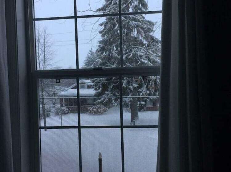 Susan S Sanctuary Bed & Breakfast