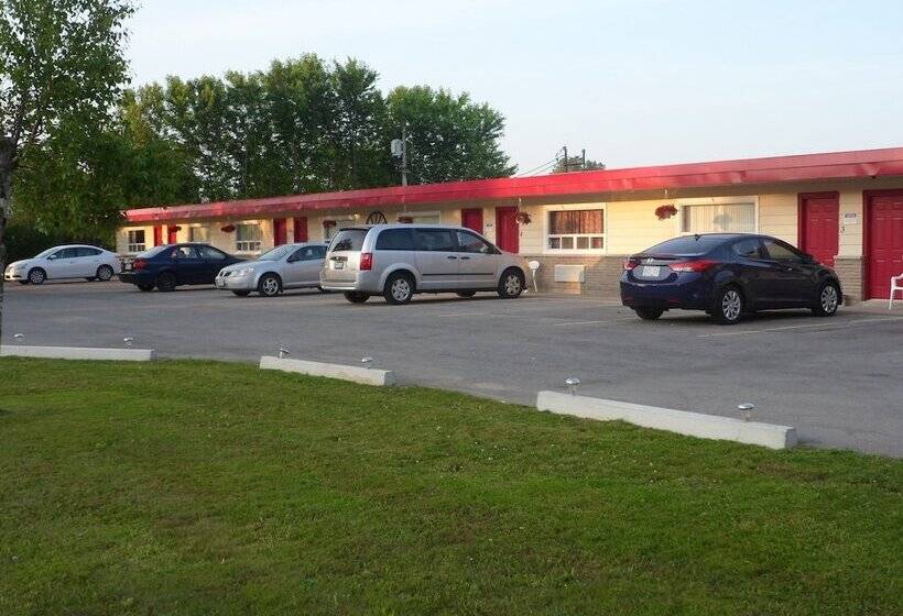 The Silver Birch Motel