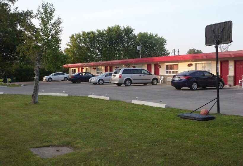 The Silver Birch Motel