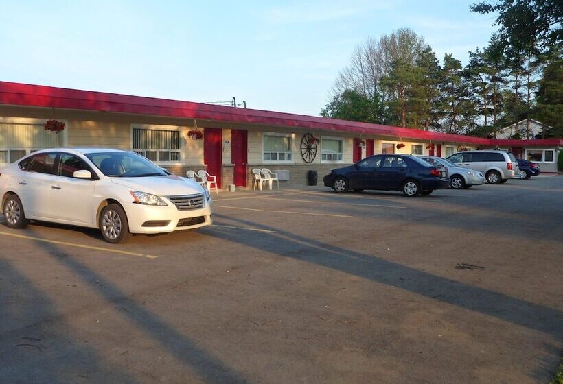 The Silver Birch Motel