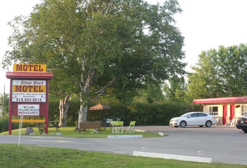 The Silver Birch Motel