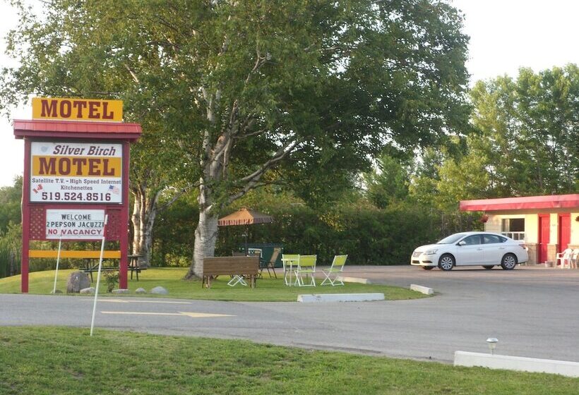 The Silver Birch Motel