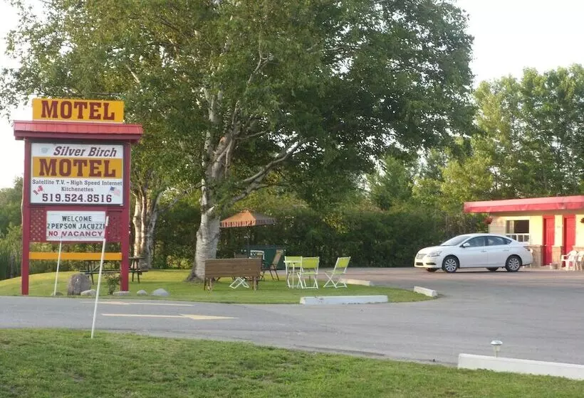 The Silver Birch Motel