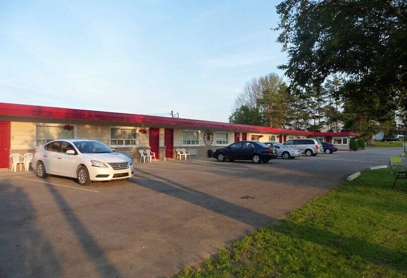 The Silver Birch Motel