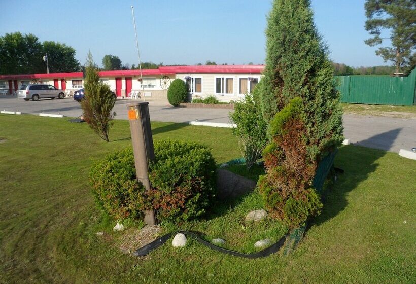 The Silver Birch Motel