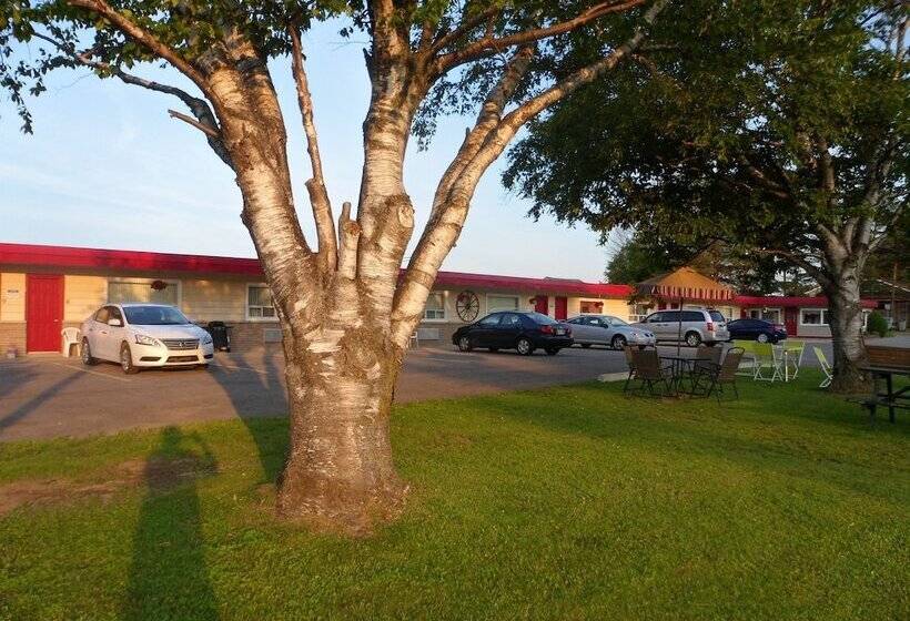 The Silver Birch Motel