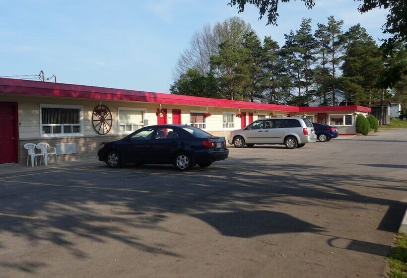 The Silver Birch Motel