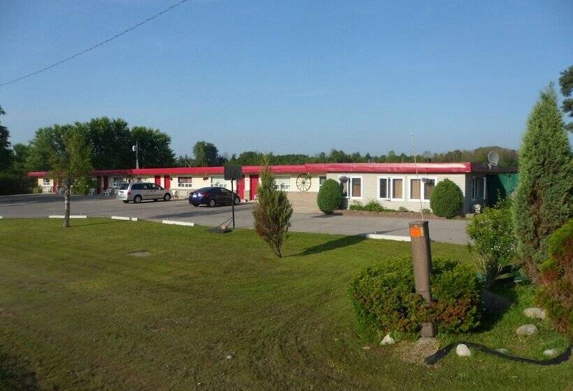 The Silver Birch Motel