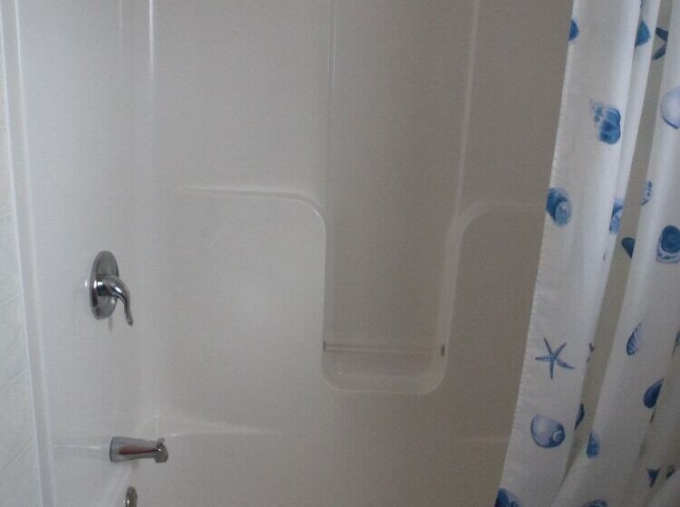 The Silver Birch Motel